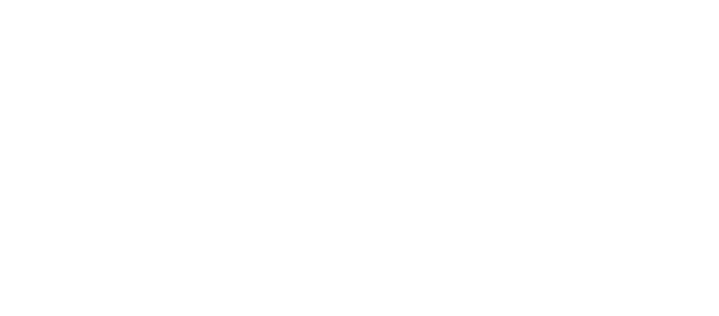 Aselscarf Butik | Abiye Kiralama , Özel Dikim